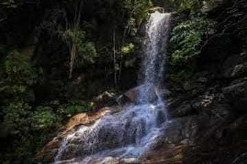 Wasgamuwa Sfari Tour – 03 Days