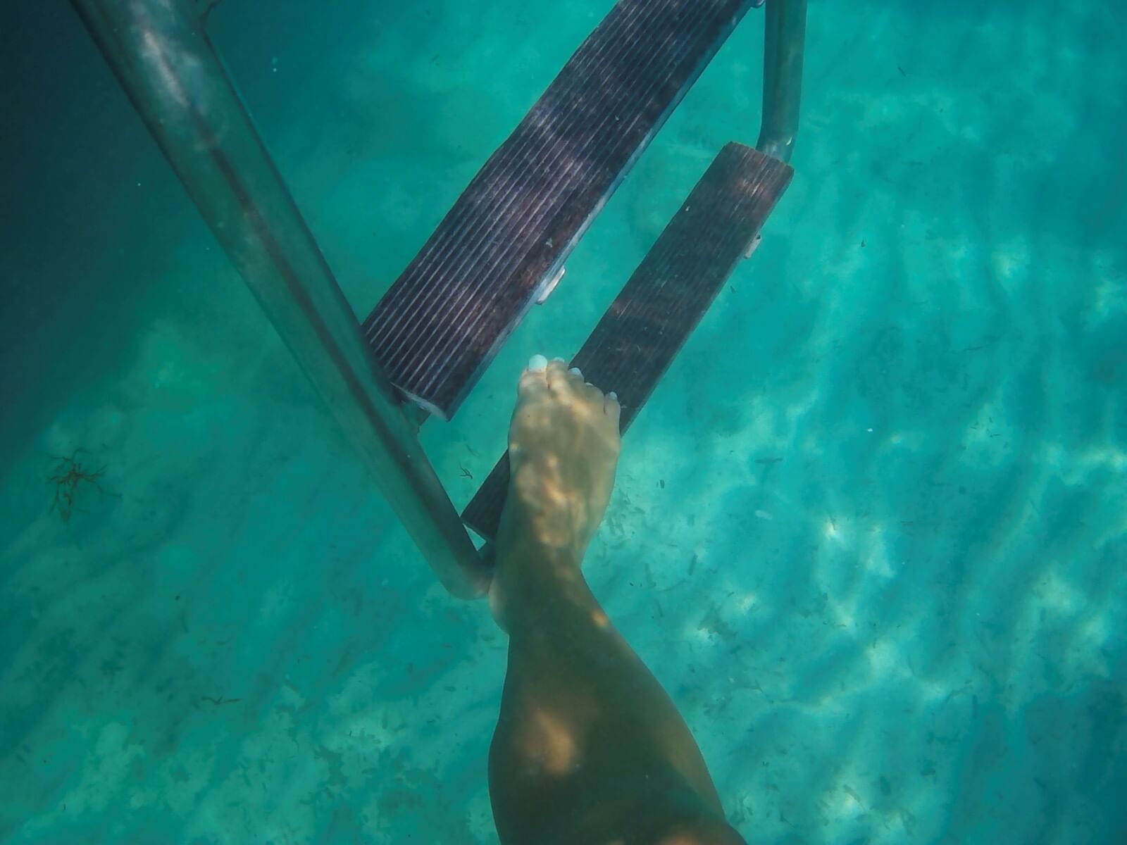 Paphos: Blue Lagoon Boat Cruise with Bus Transfer