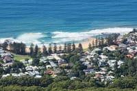 Wildlife, Hyams Whitest Beach and South Coast Private Tour 9