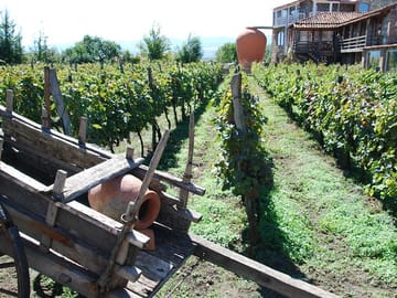 4 Full days in Georgia with private tour, free aiport