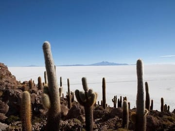 Inca Huasi (Fish Island)