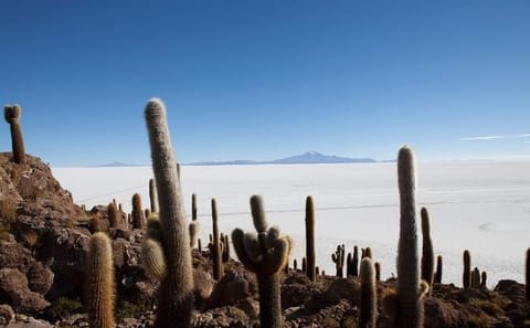 Uyuni Salt Flats Full Day Tour