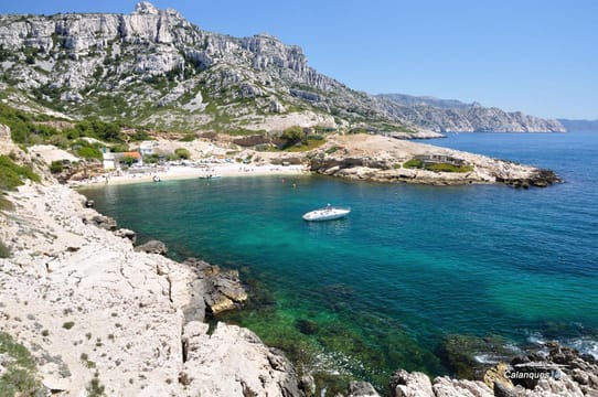 Hike with a Calanque Expert