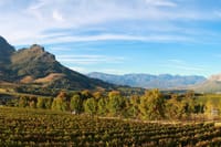 Cape Winelands tour