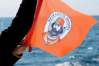 Whale Watching & Lava Show Reykjavik: Nature’s Breathtaking Spectacle