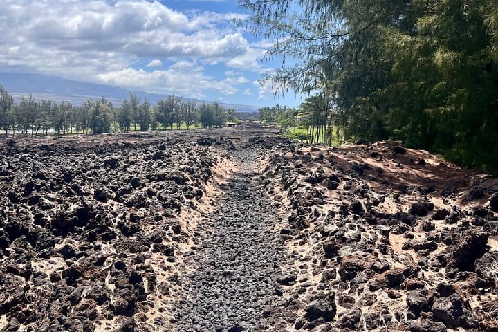 Private Big Island: History & Local Market Tour (Up to 12)