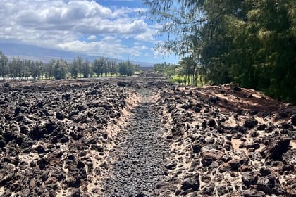 Private Big Island: History & Local Market Tour (Up to 12)