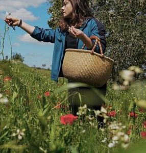Wild herb collection tour in the Tuscan countryside