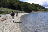 Half-Day Small-Group Tierra del Fuego National Park Tour 7