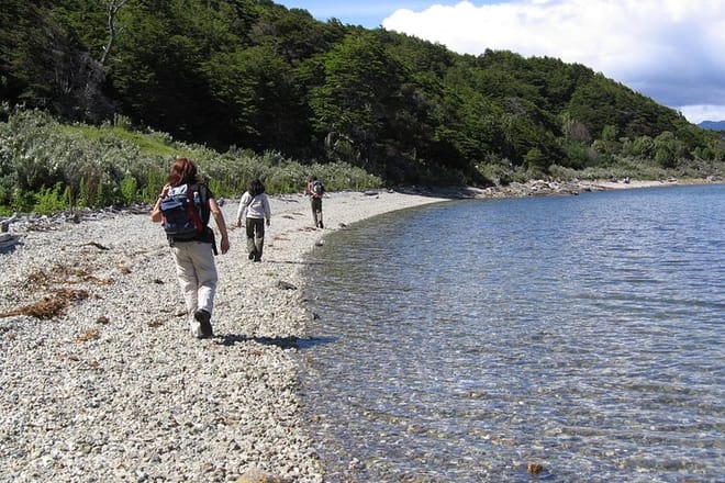 Half-Day Small-Group Tierra del Fuego National Park Tour from Ushuaia 7