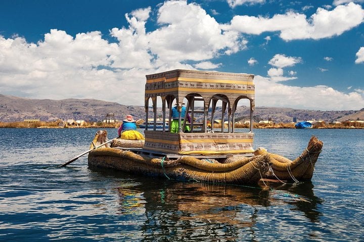 Observe the diverse birdlife in and around the islands, including waterfowl and Andean species.