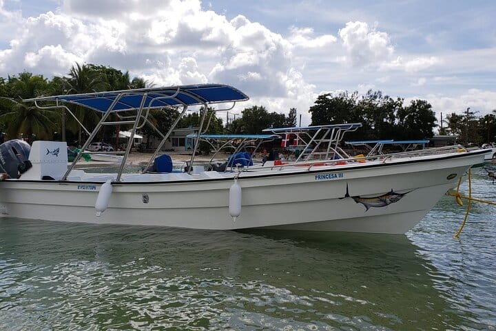 5 tours in 1 (Eco Farm/Horseback/City Tour/Buggy/Zipline)