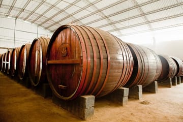 Pisco and Wine Tasting Tour in Ica, Peru