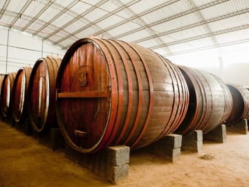 Pisco and Wine Tasting Tour in Ica, Peru