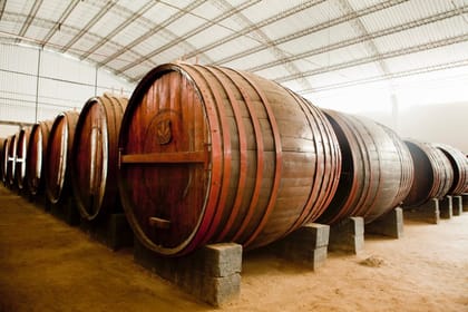 Ica-03 : Pisco and Wine Tasting Tour – Embarking on the Pisco Route