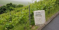 A Day in Champagne 4