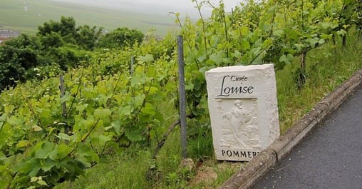 A Day in Champagne photo 4