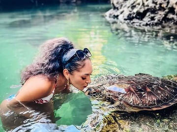 Nungwi turtle aquarium