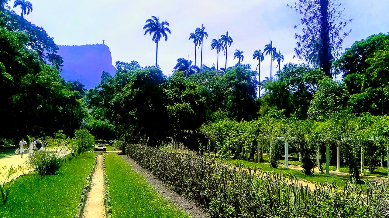 BOTANICAL GARDEN & CHRIST THE REDEEMER