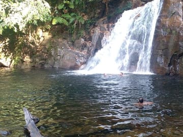 Sinharaja Rainforest Exploration Tour from Galle