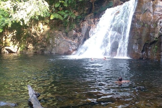  From Galle: Sinharaja Trekking Day Tour 2