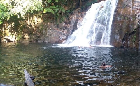 Sinharaja Rainforest Exploration Tour from Galle
