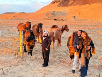 Private South Coast Adventure and Viking Stories Tour in Reykjavík