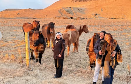 Private South Coast Adventure and Viking Stories Tour in Reykjavík