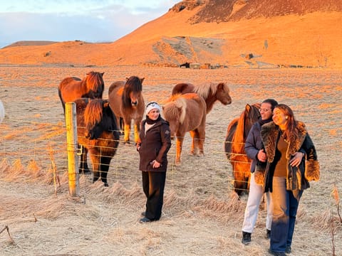Private South Coast Adventure and Magical Viking Stories & Dinner, photo 5