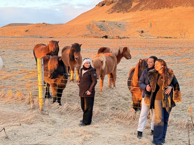 Private South Coast Adventure and Magical Viking Stories & Dinner