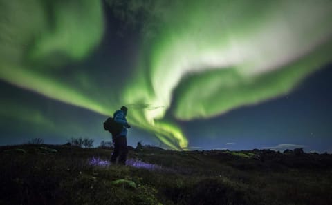 Private Winter Golden Circle Tour in Reykjavík, Iceland