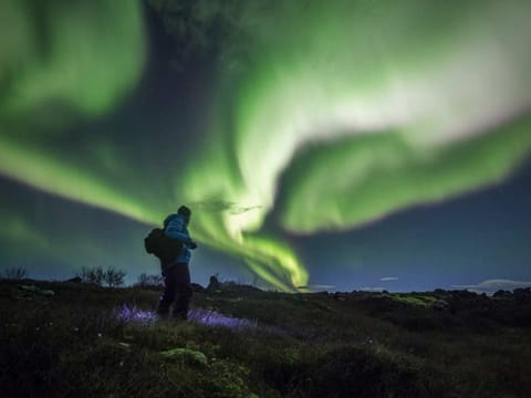 Private Winter Golden Circle Tour with Northern Lights, photo 3