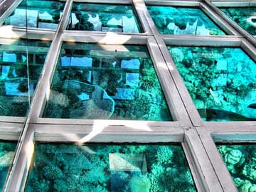 Glass Bottom Boat Tour in Sharm El Sheikh, Egypt