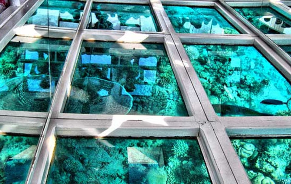 Glass Bottom Boat Tour in Sharm El Sheikh, Egypt