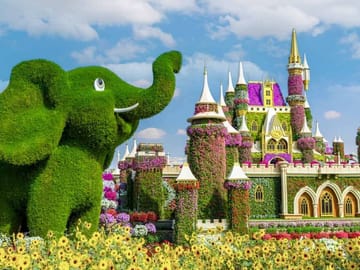Dubai Miracle Garden and Desert Safari with BBQ Dinner
