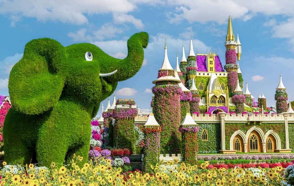 Dubai Miracle Garden tour & Desert Safari with BBQ Dinner