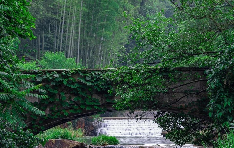 Yixing Bamboo Sea and Zisha Pottery Day Trip from Shanghai