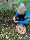 Mushroom Hunting 6
