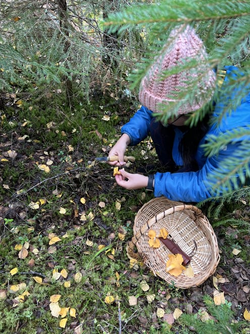 Mushroom Hunting photo 6