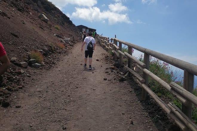 Half day to Mount Vesuvius (4 hours) 7