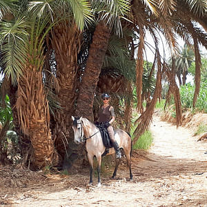 Horse riding in Luxor - 1hr