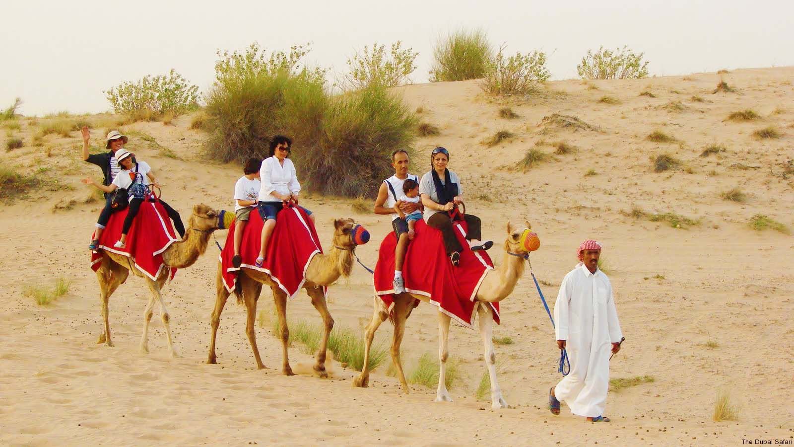 4X4 Hummer H2 Safari with BBQ Dinner with Daytur