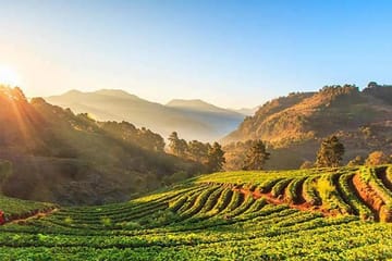 Doi Intanon National Park – Thailand’s Highest Peak