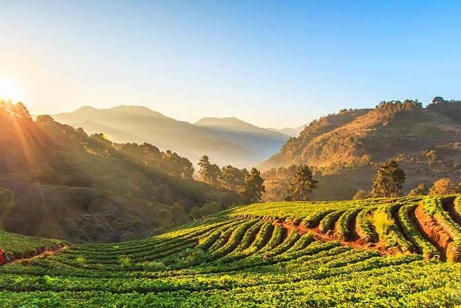 Doi Intanon National Park - Thailand's Highest Peak 5