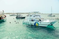 Drop anchor at a stunning natural pool, jump in the clear water, and enjoy a day of amazing snorkeling and fun in Punta Cana!