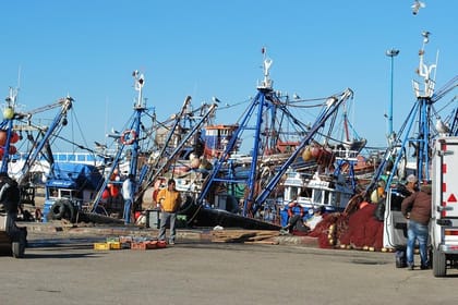 Marrakech shared day trip to Essaouira