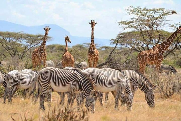 Nakuru, Nairobi