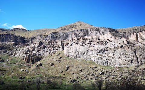 Private Full Day Tour of Borjomi, Rabati, and Vardzia from Tbilisi