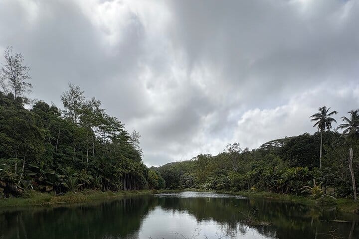 Dan Sours Baie Lazare Wetlands