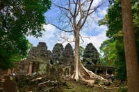 Angkor Wat Sunrise, Ta Promh, Banteay Srei, Bayon Private Tour 9